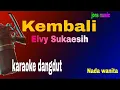 Download Lagu kembali lah padaku || Elvy Sukaesih || karaoke dangdut || NADA WANITA 