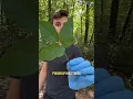 Download Lagu You’ve been lied to about this plant