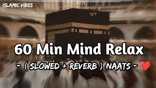 Mind Relaxing Lofi Naat Top 10 Naat Sharif 2023 1 Hour Mind Relax Naat 