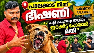  ഇറക്കാതെ പോകേണ്ട പോലും..എല്ലാർക്കും ഒരേ മനസ്സ്.. Dog challenge..