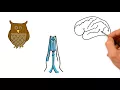 what does the color blue mean | PlayTube