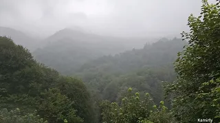 مالش سلومه حجرتيبي دندنها