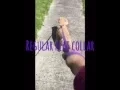 Haltermate Missy
