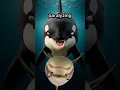 Orcas Are Disturbing