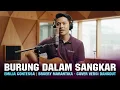 Download Lagu BURUNG DALAM SANGKAR - EMILIA CONTESSA | COVER VERSI DANGDUT