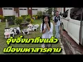 Download Lagu อุ๋งอิ๋งมาถึงแล้วเมืองมหาสารคาม 