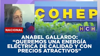 Anabel Gallardo: “Queremos una energía eléctrica de calidad y con precios atractivos”