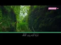 Download Lagu Ustaz Hanan Attaki - Surah Al-Mulk