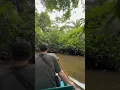 Download Lagu Exploring the Amazon! 🛶 #wildlife #jungle #rainforest #amazon #explore