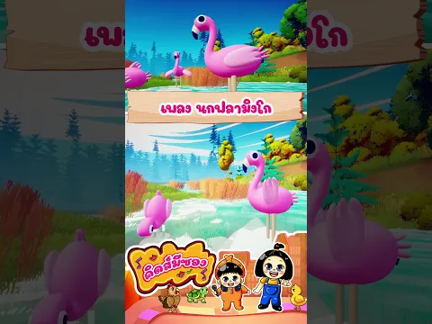 เพลง ฟลามิงโก คิดส์มีซอง #น้องปุญคิดส์มีซอง #เพลงเด็กอนุบาล #kidsmeson