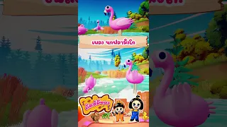 เพลง ฟลามิงโก คิดส์มีซอง #น้องปุญคิดส์มีซอง #เพลงเด็กอนุบาล #kidsmeson