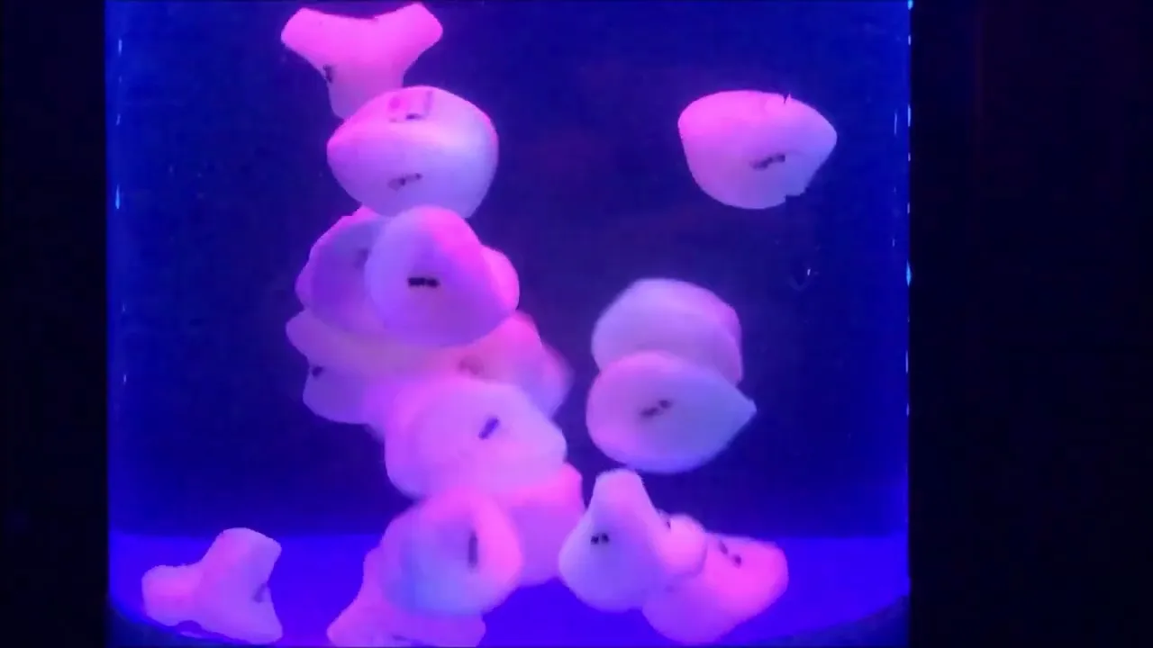 3D Printed Self-Assembling Cells video thumbnail