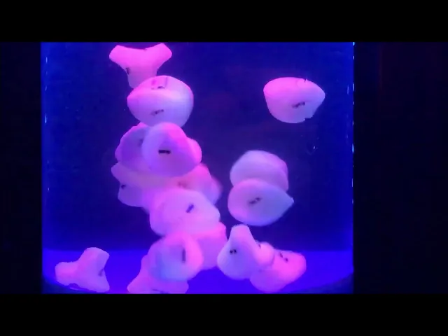 3D Printed Self-Assembling Cells video thumbnail