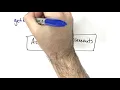 IS216 SMU - JavaScript Events DOM Part 2