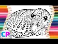 Leopard Coloring Pages How to Color Wild Animals Drawing of The Leopard Coloring Pages Tv