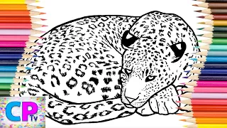 Leopard Coloring Pages How to Color Wild Animals Drawing of The Leopard Coloring Pages Tv