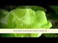 Download Lagu Juz 17 Quran with English audio translation