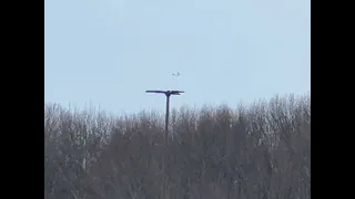 FedEx Boeing 767-300 flying over Mount Laurel NJ