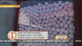 River Cats Box-O-Balls