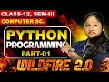 Python Basics Class 12 - Explained Wildfire 2 0