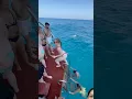 Download Lagu Best Travel...Alanya Boat Trips | Türkiy🙄🫣 #summer #travel #holiday #beach #newmusic
