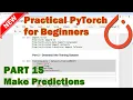 PyTorch Beginner Tutorial - Part 15 Make Prediction Using the Model