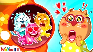 Maman Va Avoir Trois Bébés ! Wolfoo Est-il Prêt À Partager Ses Jouets ? 🍼🎉 Collection D'épisodes