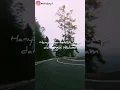 Download Lagu Seberkas sinar - Snap wa | Bye pojul
