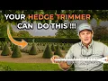 Hedge Trimmer Maintenance - Everything you need to know