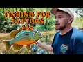 Fishing for Tattoos Longear Sunfish w Colby Wells