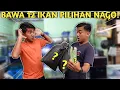 Download Lagu HUNTING IKAN APAPUN SESUAI PILIHAN NAGO UNTUK JADI PENGHUNI KOLAM