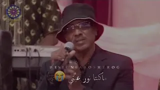 النور الجيلاني بقيت تمر بينا 