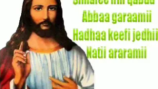 Farfanaa Afanii Oromoo Orthodox Simale Hin Qabuu Abbas Geranium New 