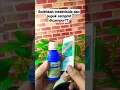 Download Lagu bolehkah insektisida dicampur pupuk semprot?ini dia!