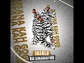 Mfana Kah Gogo - Fikile (Official Audio) ft. Big John, Priddy Dj