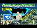 Download Lagu Kumpulan lagu dj 30 detik cocok buat backsound quotes
