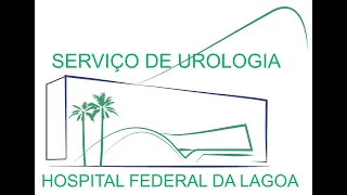 Artigo 24 09 2024 Perspectives on technology – prostate cancer is localanaesthetic transperineal