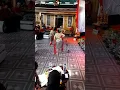 Download Lagu Pembukaan Pasanggiri Sunda Pop 'CIANJUR MANJUR' | Sanggar Medal Sari Cianjur