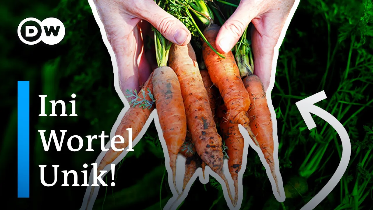 Pertanian Permakultur di Jerman Wajib Jadi Panutan! | DW #PlanetA