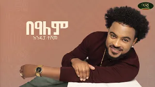 Andupa Teshome Bealem አንዱፓ ተሾመ በዓለም Track 01 Official Lyrics Video 