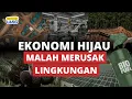 Lagu Ekonomi Hijau Ramah Lingkungan, Malah Merusak Lingkungan