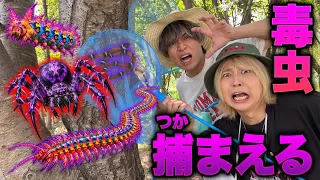 【危険】毒虫を大量に捕まえたら刺されました・・・