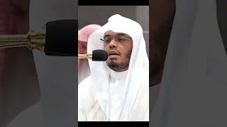 و ي س ق و ن ف يه ا ك أ س ا ك ان م ز اج ه ا ز نج ب يلا ع ي ن ا ف يه ا ت س م ى س ل س ب يلا 