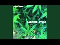 Lagu Garden Style