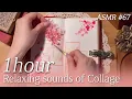 Download Lagu ASMR 1Hour✨꿀잠용 영상 1시간 다꾸 모음 #67 Art Journaling Compilation✨relaxing sounds of collage #コラージュ
