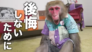 老いた我が子（猿）について…後悔しないために…