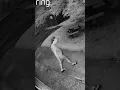 Wife wanted in cop husband s killing was seen calmly leaving grisly crime scene