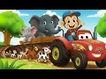 Lagu Monkey Funny | Cute Monkey Pipi Lifts a Heavy Tractor Wheel Like a Hero! | Monkey Cartoon