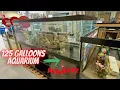 Quick Look Aquariums Sale in Petsmart