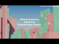 Use Apex Variables in Salesforce Screen Flow Apex Class Flow Integration Tutorial